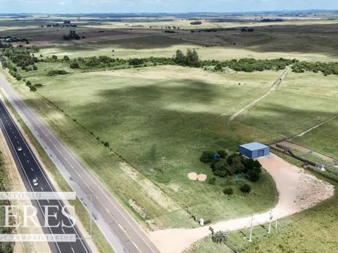 Chacra / Campo 187 ha en Garzón