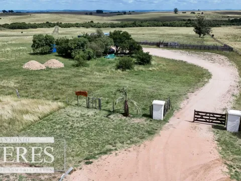 Chacra / Campo 187 ha en Garzón — foto 2