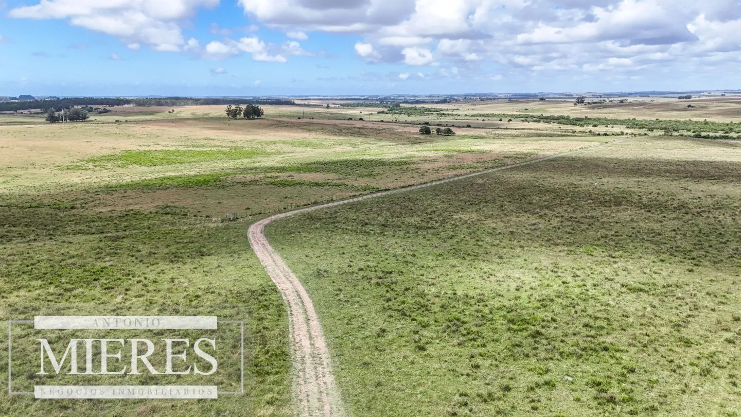 Chacra / Campo 187 ha en Garzón — foto 3