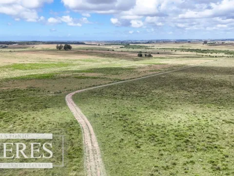 Chacra / Campo 187 ha en Garzón — foto 3