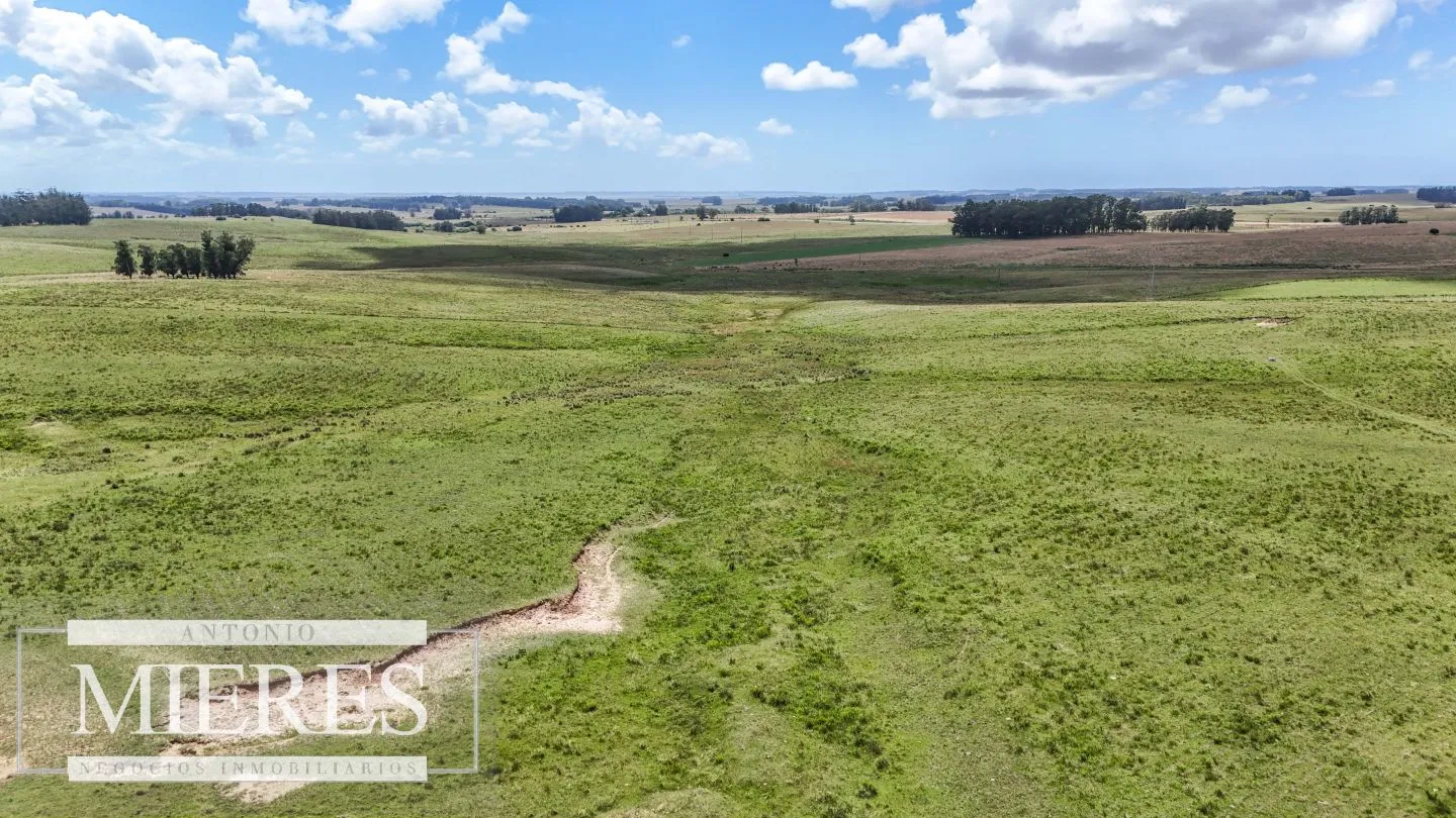 Chacra / Campo 187 ha en Garzón — foto 4
