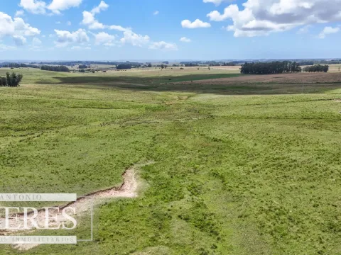Chacra / Campo 187 ha en Garzón — foto 4