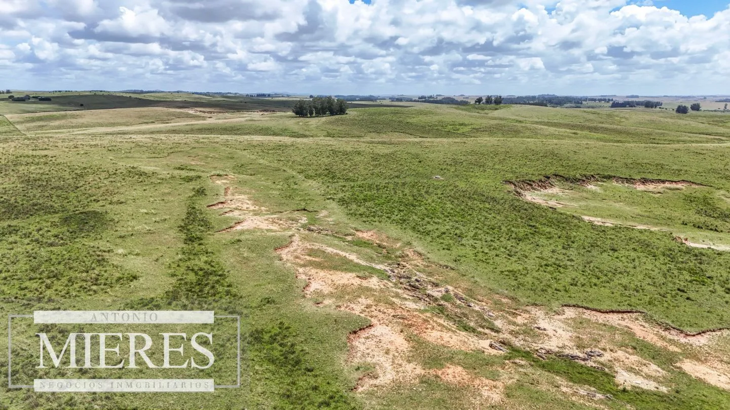 Chacra / Campo 187 ha en Garzón — foto 5