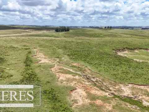 Chacra / Campo 187 ha en Garzón — foto 5