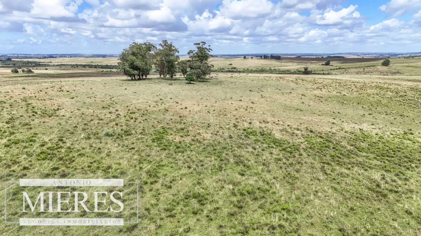 Chacra / Campo 187 ha en Garzón — foto 8