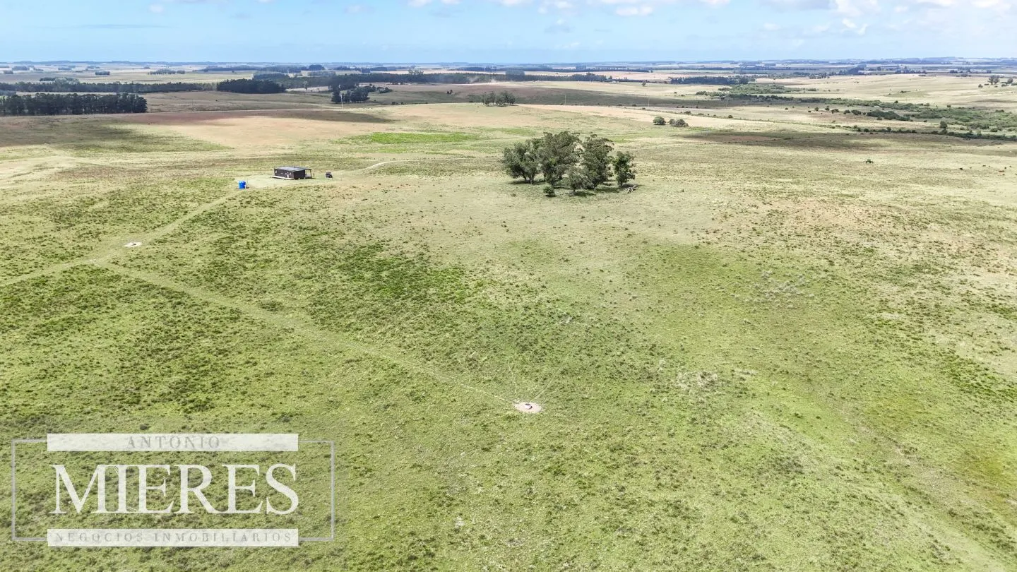 Chacra / Campo 187 ha en Garzón — foto 10