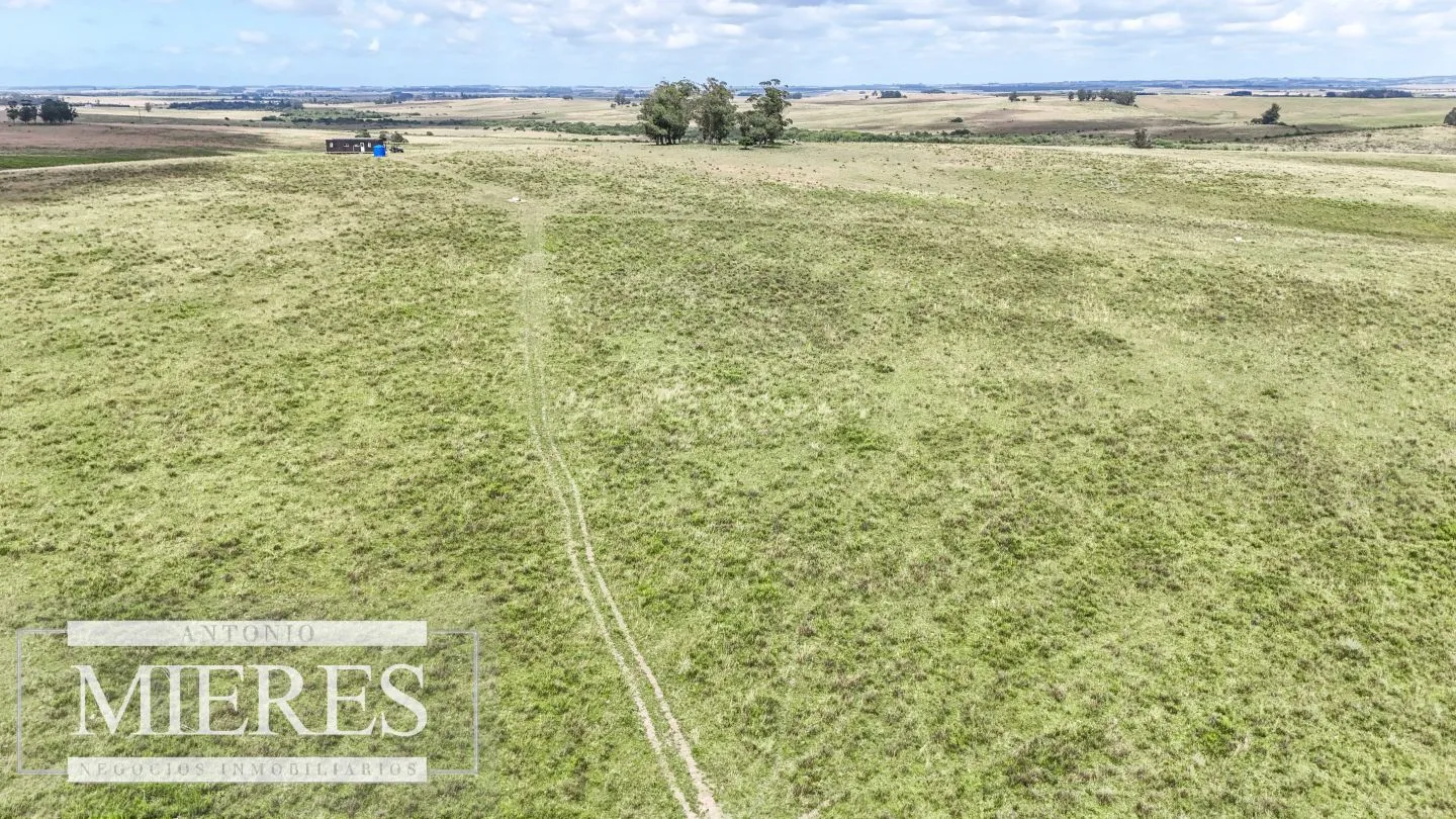 Chacra / Campo 187 ha en Garzón — foto 11