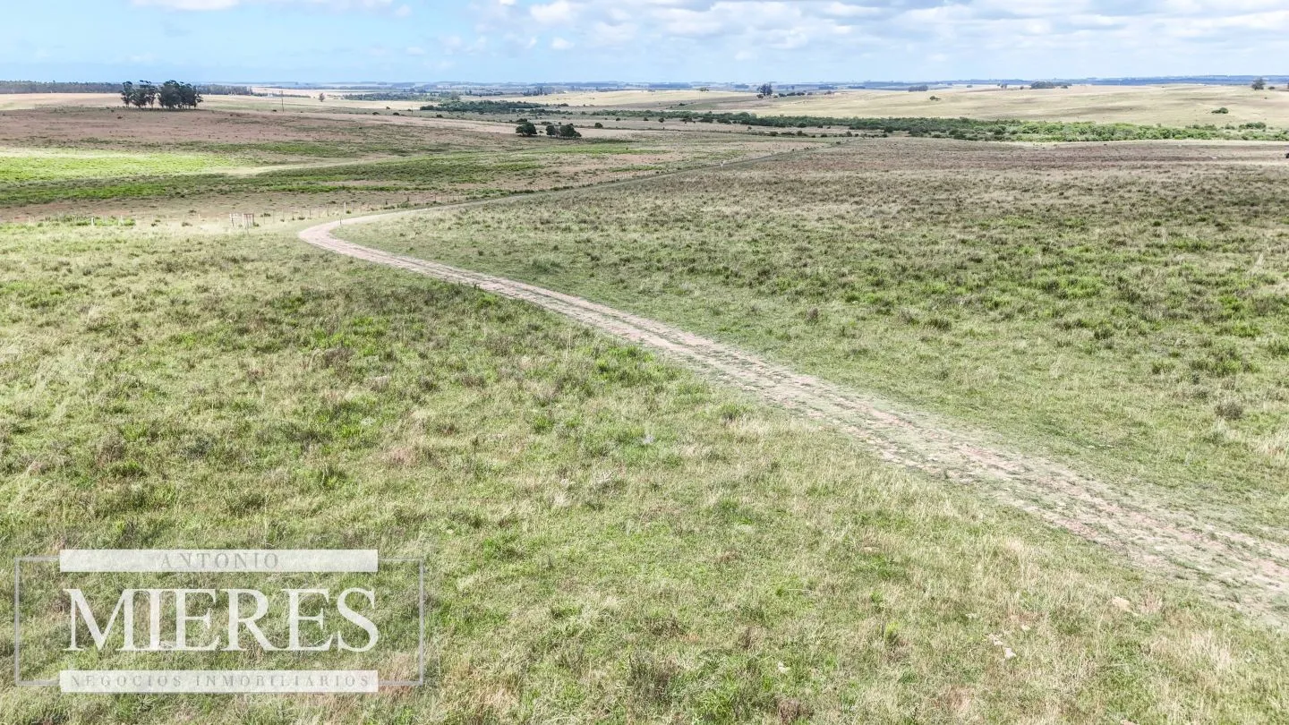 Chacra / Campo 187 ha en Garzón — foto 13