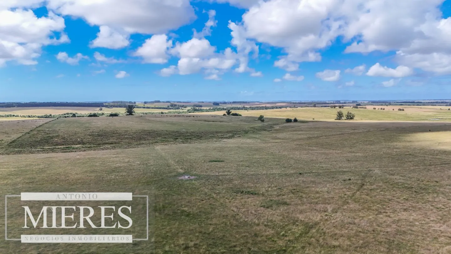 Chacra / Campo 187 ha en Garzón — foto 14