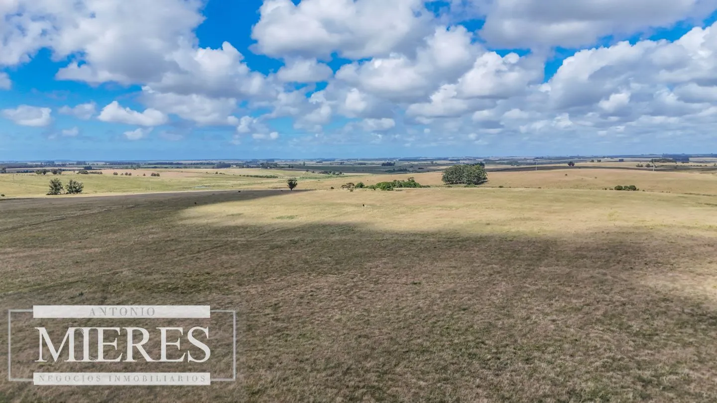 Chacra / Campo 187 ha en Garzón — foto 15