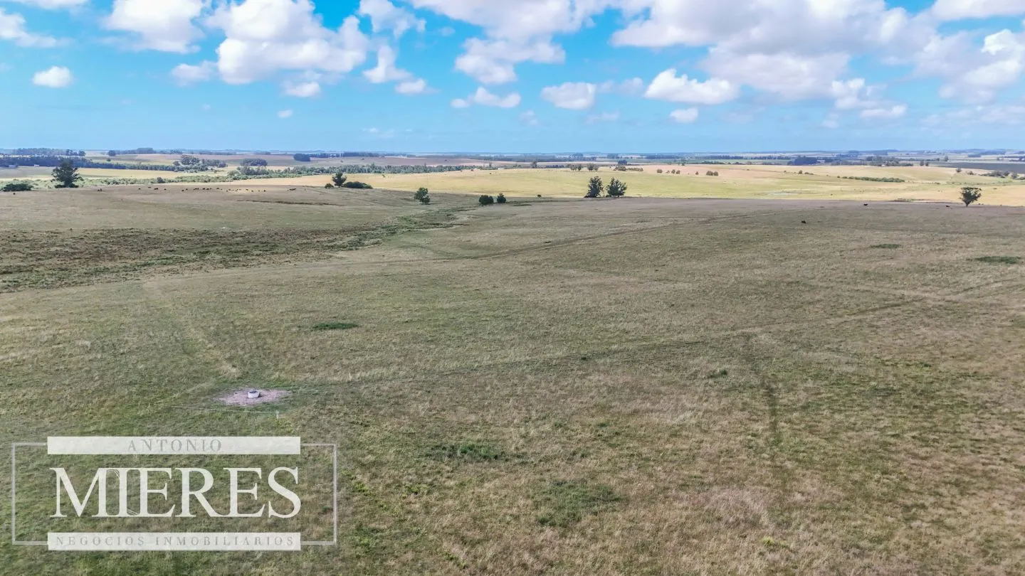 Chacra / Campo 187 ha en Garzón — foto 16