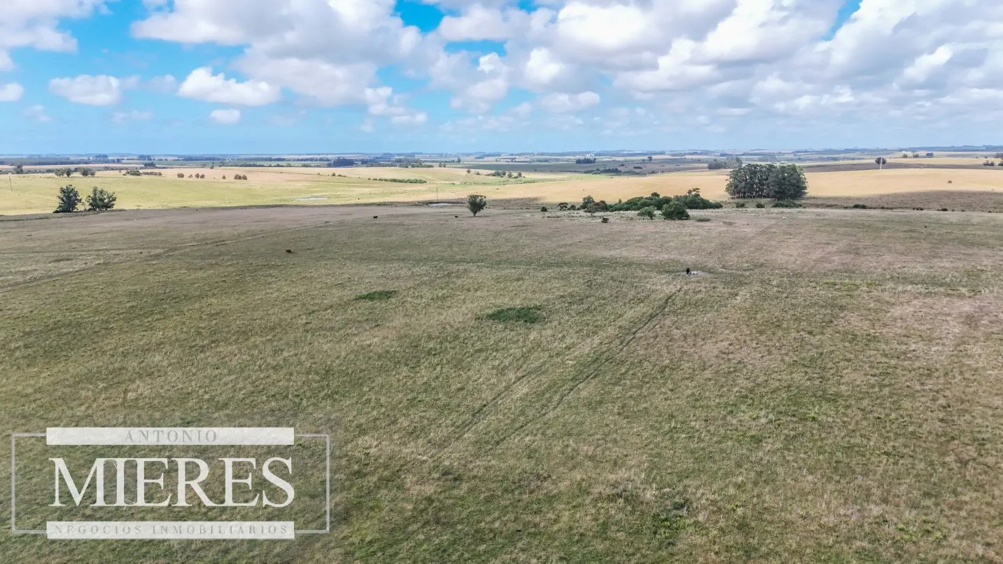 Chacra / Campo 187 ha en Garzón — foto 17