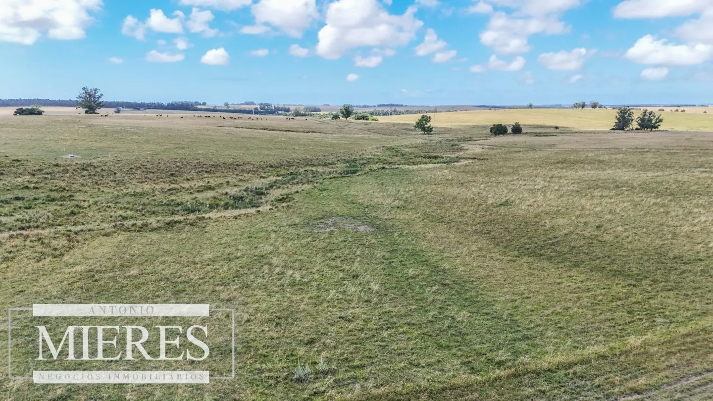 Chacra / Campo 187 ha en Garzón — foto 18
