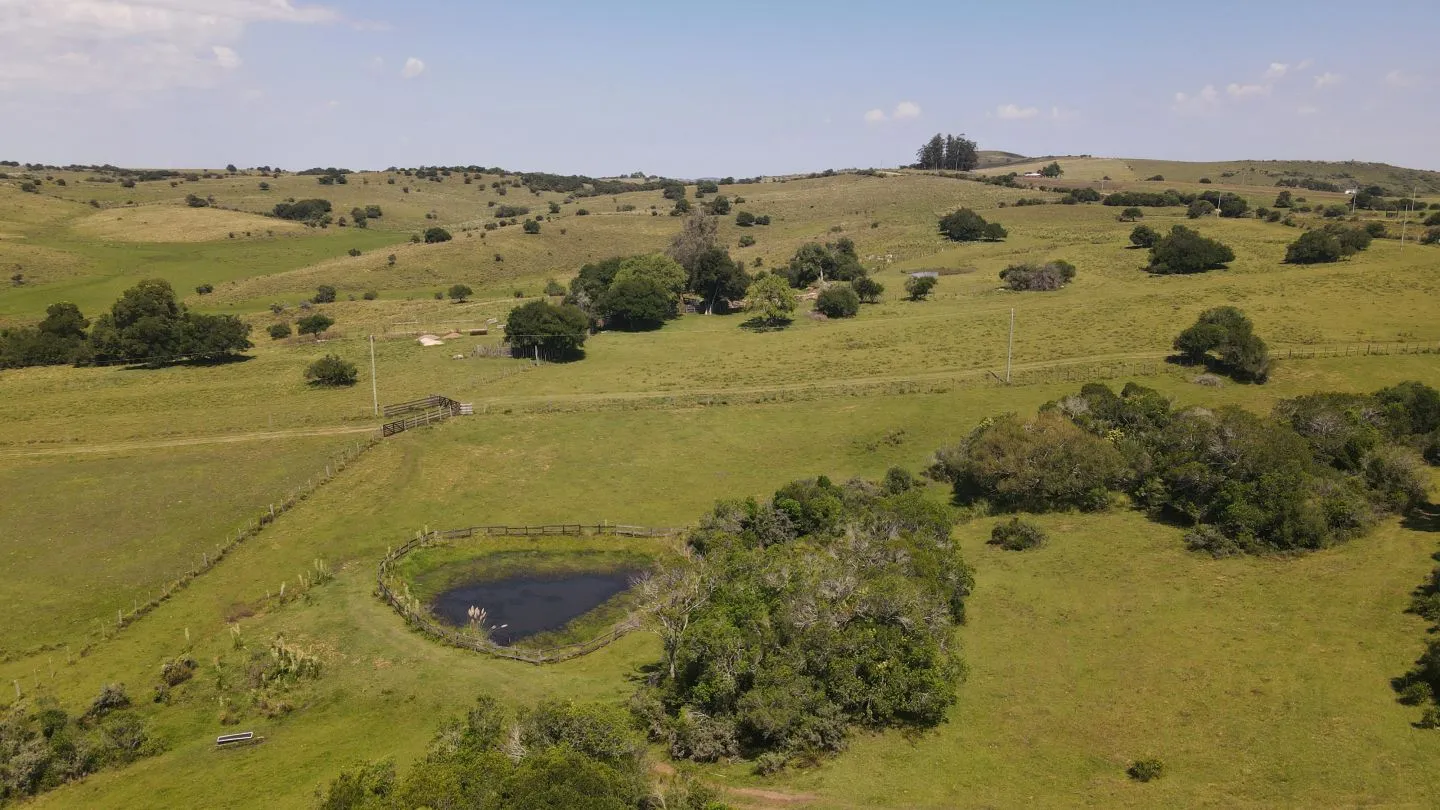 Chacra en venta de 5 ha con casa panorámica — foto 6