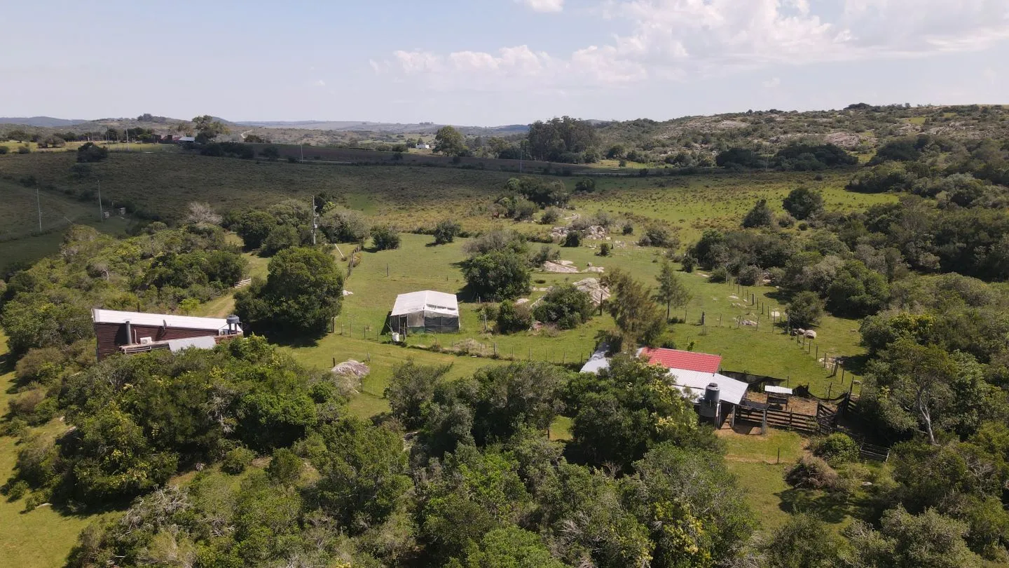 Chacra en venta de 5 ha con casa panorámica — foto 7
