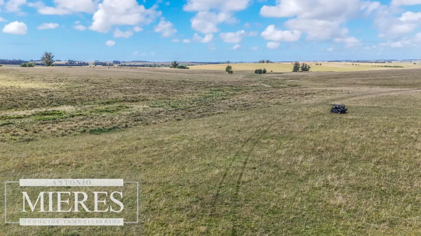 Chacra / Campo 187 ha en Garzón — foto 20