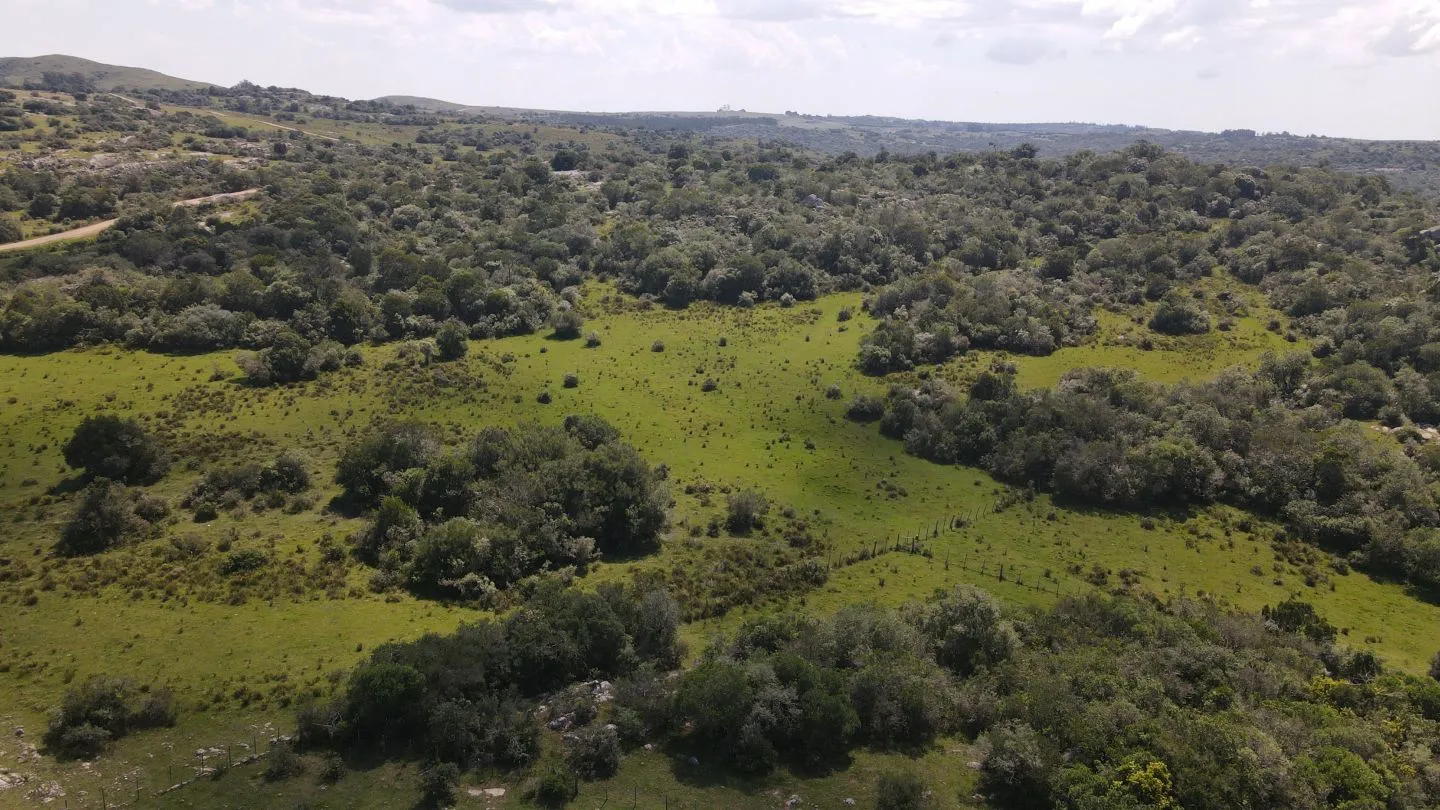 Chacra en venta de 5 ha con casa panorámica — foto 9