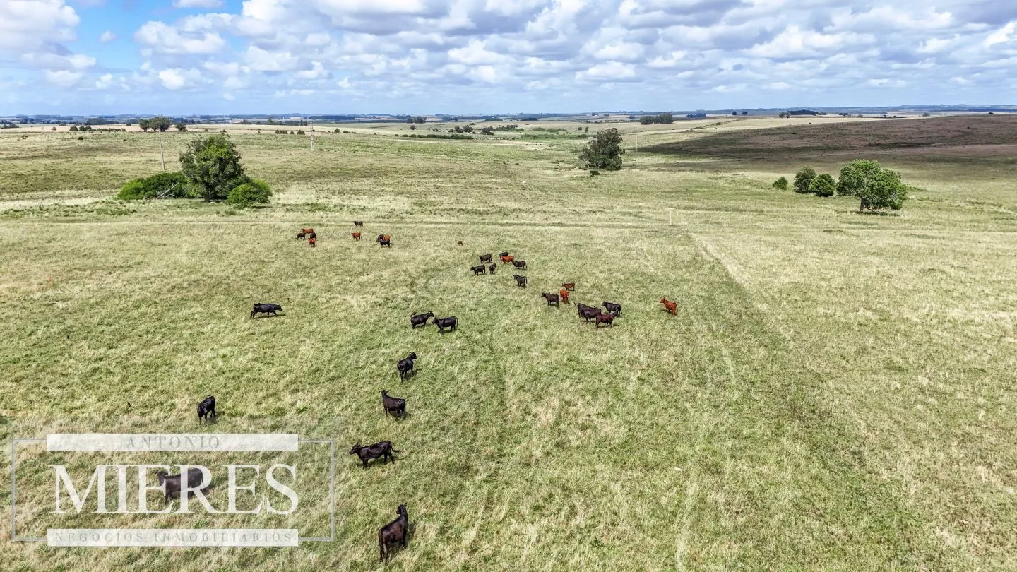 Chacra / Campo 187 ha en Garzón — foto 23