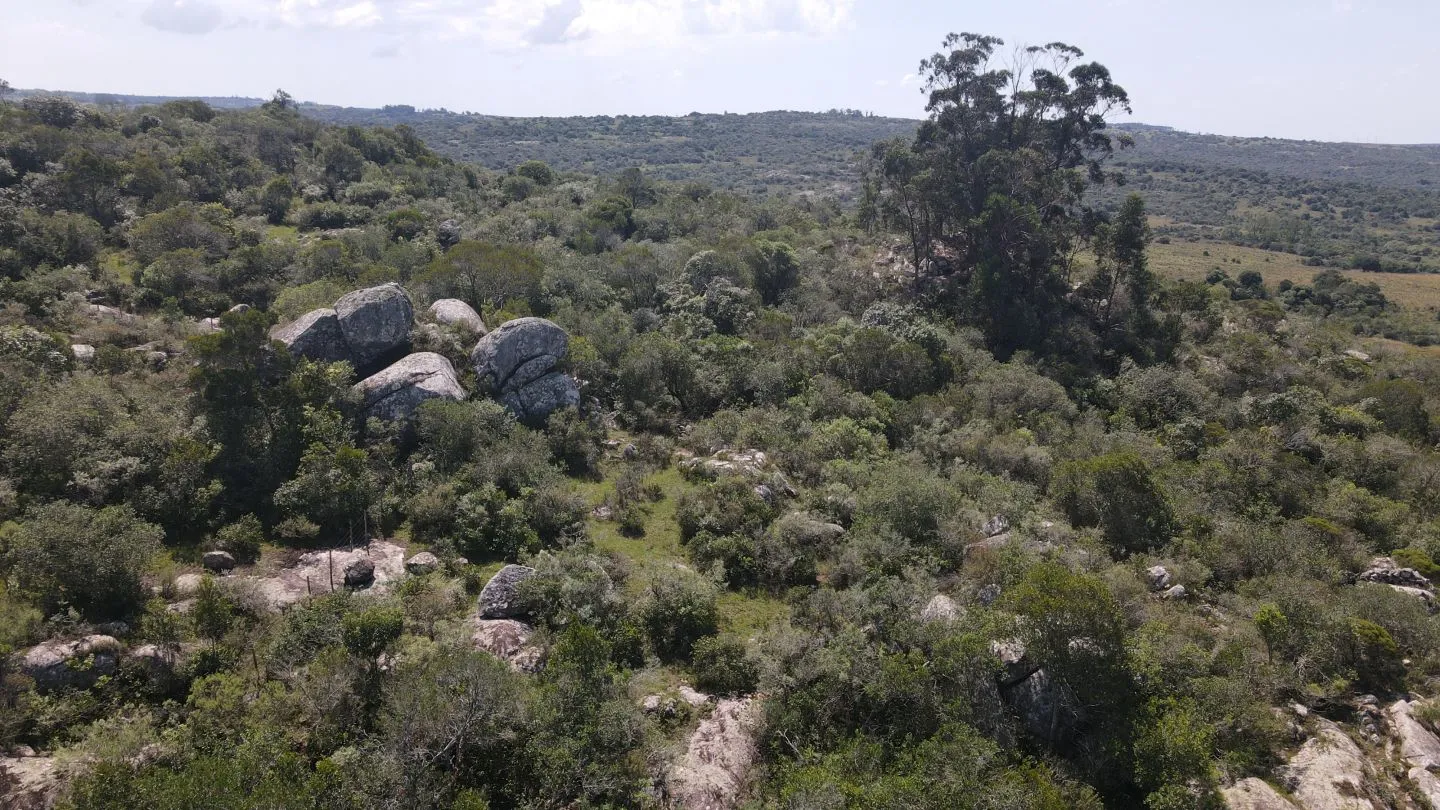 Chacra en venta de 5 ha con casa panorámica — foto 12
