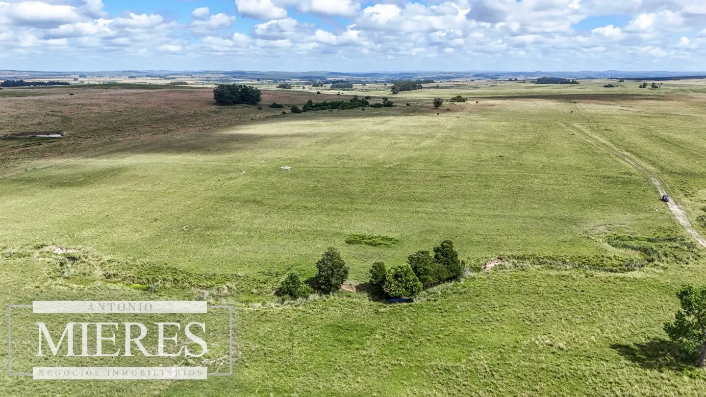 Chacra / Campo 187 ha en Garzón — foto 24