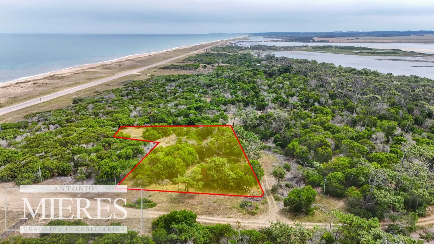 Lote en venta de 2900m2 en El Caracol, a 10' de Jose Ignacio — foto 1