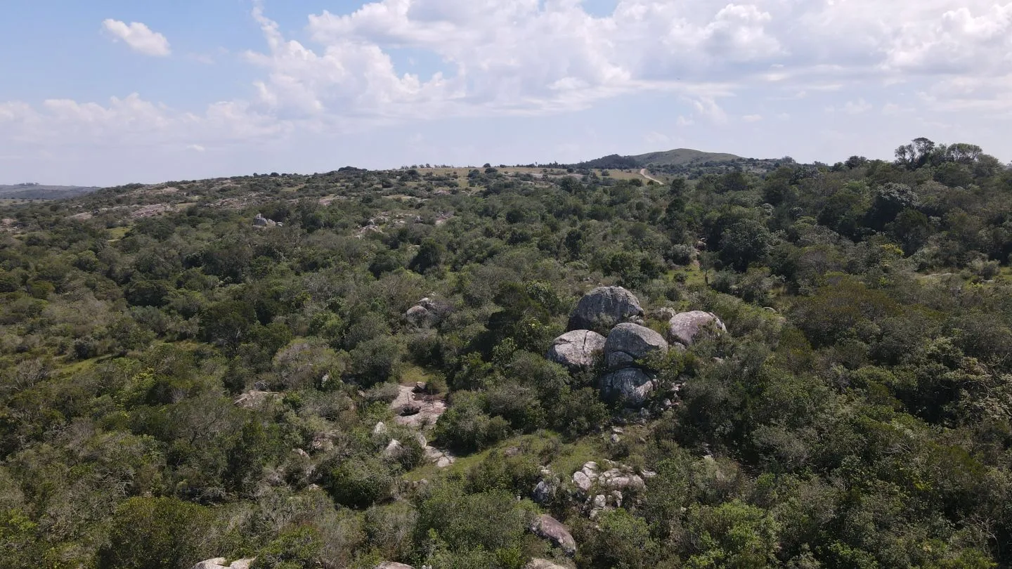 Chacra en venta de 5 ha con casa panorámica — foto 13