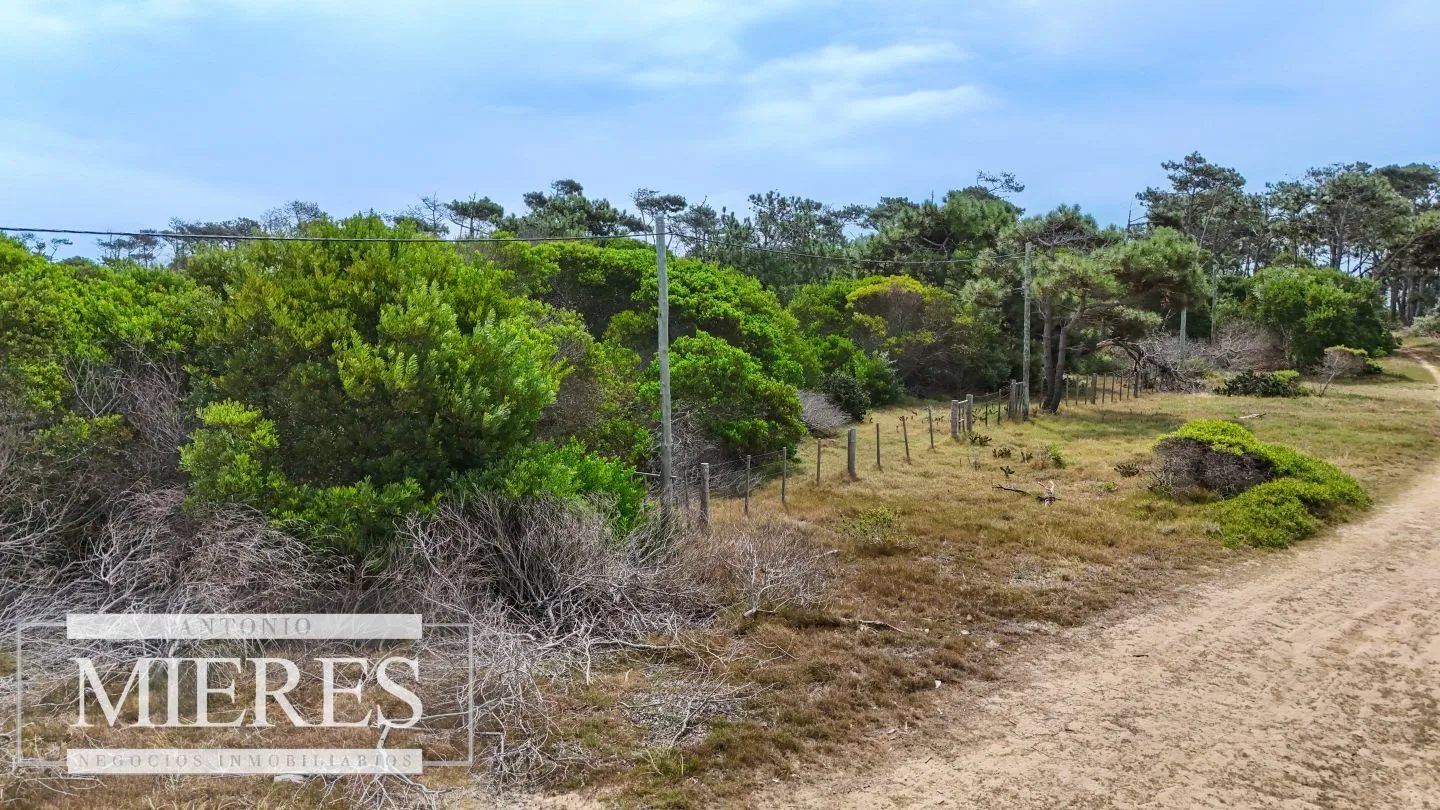 Lote en venta de 2900m2 en El Caracol, a 10' de Jose Ignacio — foto 2