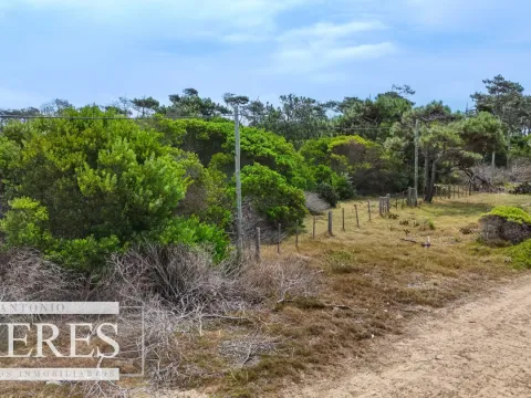 Lote en venta de 2900m2 en El Caracol, a 10' de Jose Ignacio — foto 2