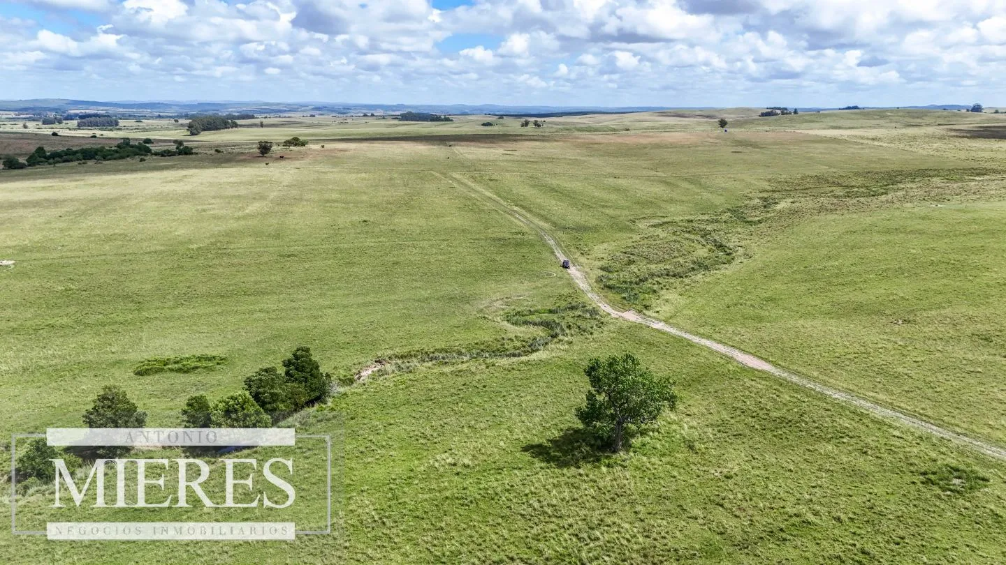 Chacra / Campo 187 ha en Garzón — foto 25