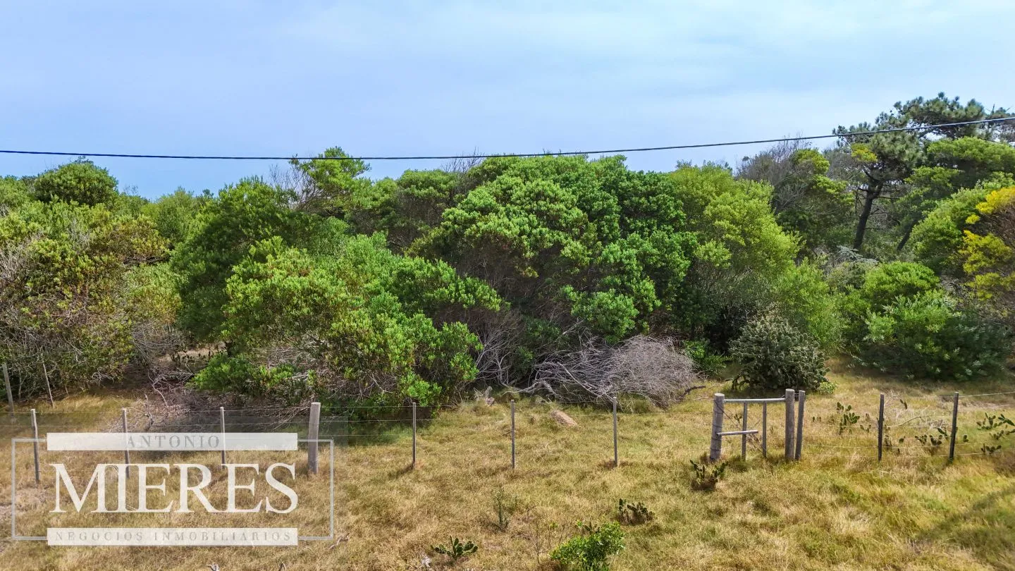 Lote en venta de 2900m2 en El Caracol, a 10' de Jose Ignacio — foto 3