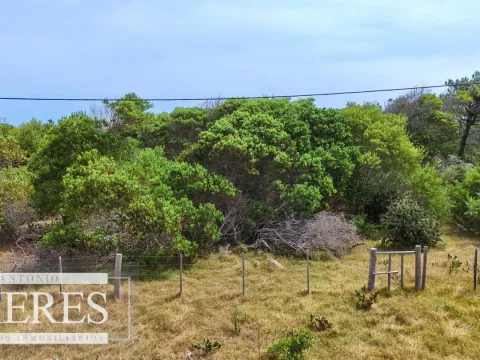 Lote en venta de 2900m2 en El Caracol, a 10' de Jose Ignacio — foto 3