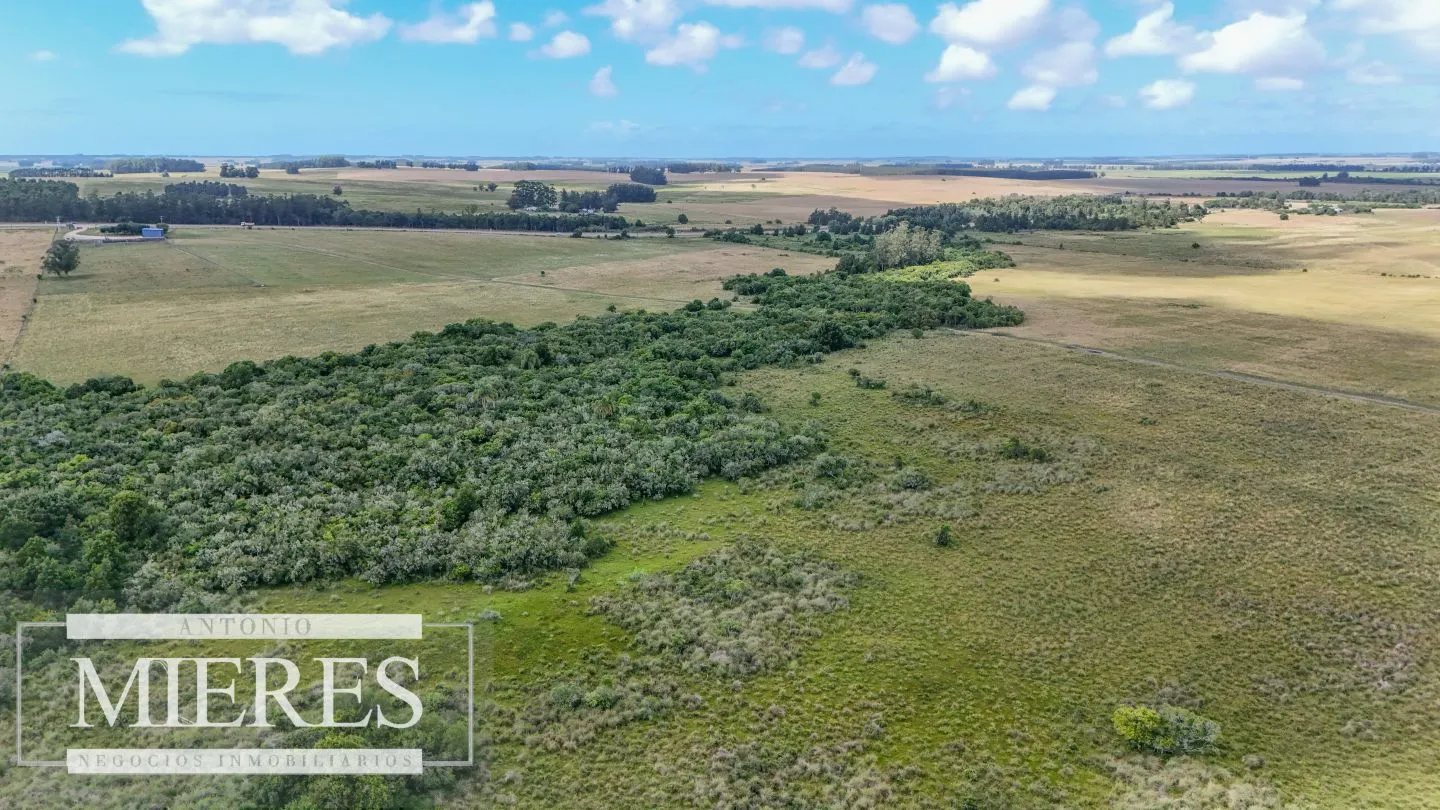 Chacra / Campo 187 ha en Garzón — foto 26
