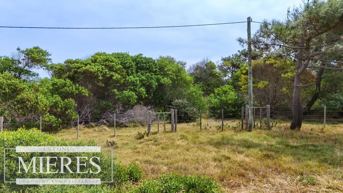 Lote en venta de 2900m2 en El Caracol, a 10' de Jose Ignacio — foto 4