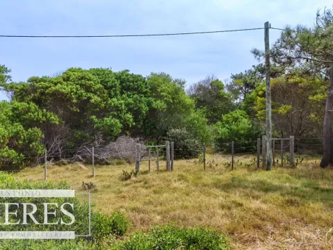 Lote en venta de 2900m2 en El Caracol, a 10' de Jose Ignacio — foto 4