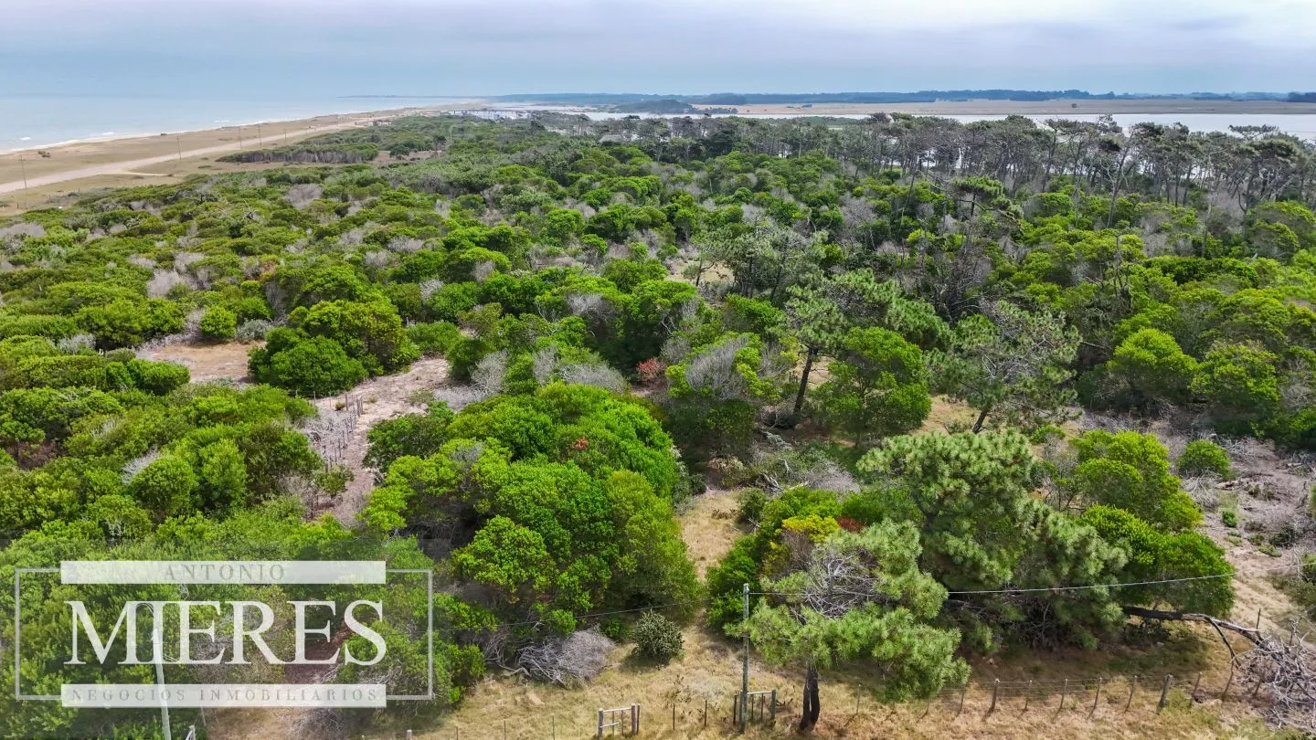 Lote en venta de 2900m2 en El Caracol, a 10' de Jose Ignacio — foto 5