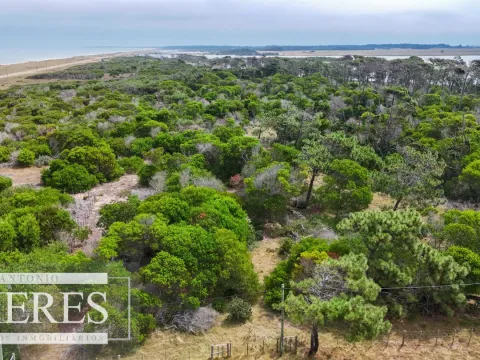 Lote en venta de 2900m2 en El Caracol, a 10' de Jose Ignacio — foto 5