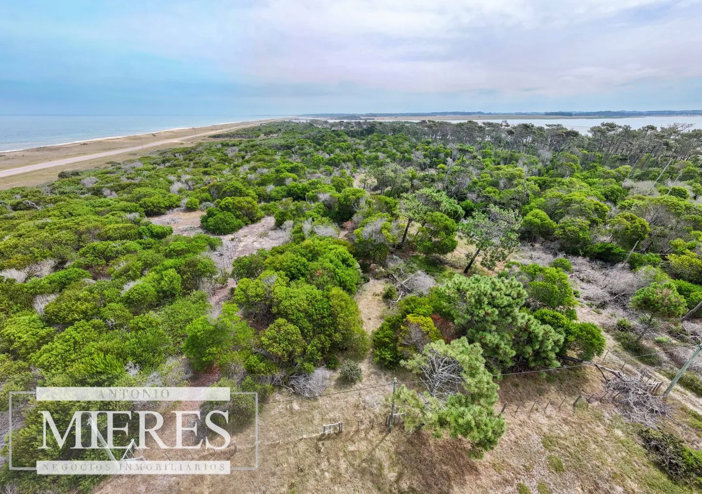 Lote en venta de 2900m2 en El Caracol, a 10' de Jose Ignacio — foto 6