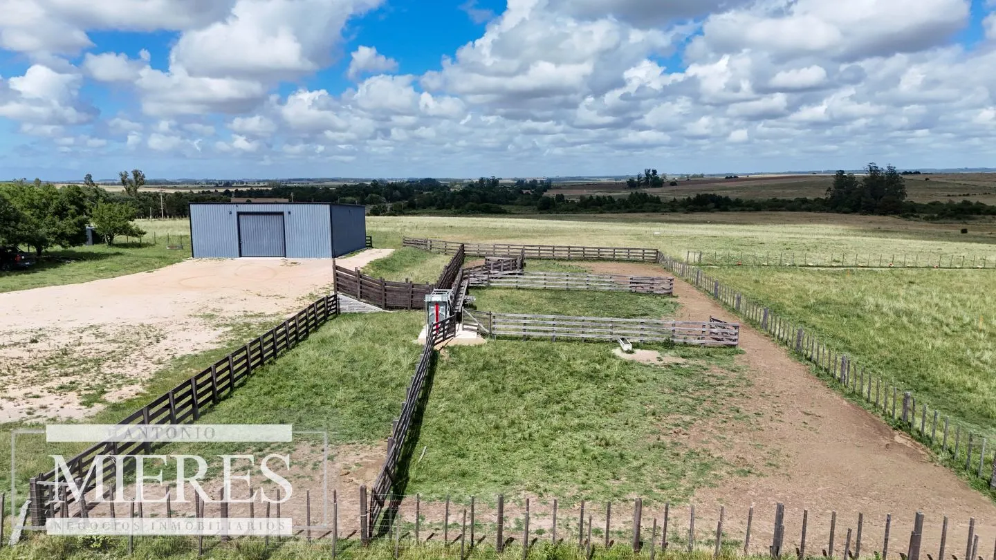 Chacra / Campo 187 ha en Garzón — foto 30