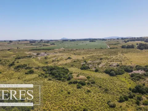 Campo de 23 ha en Ruta 12 Maldonado, Pueblo Edén — foto 2