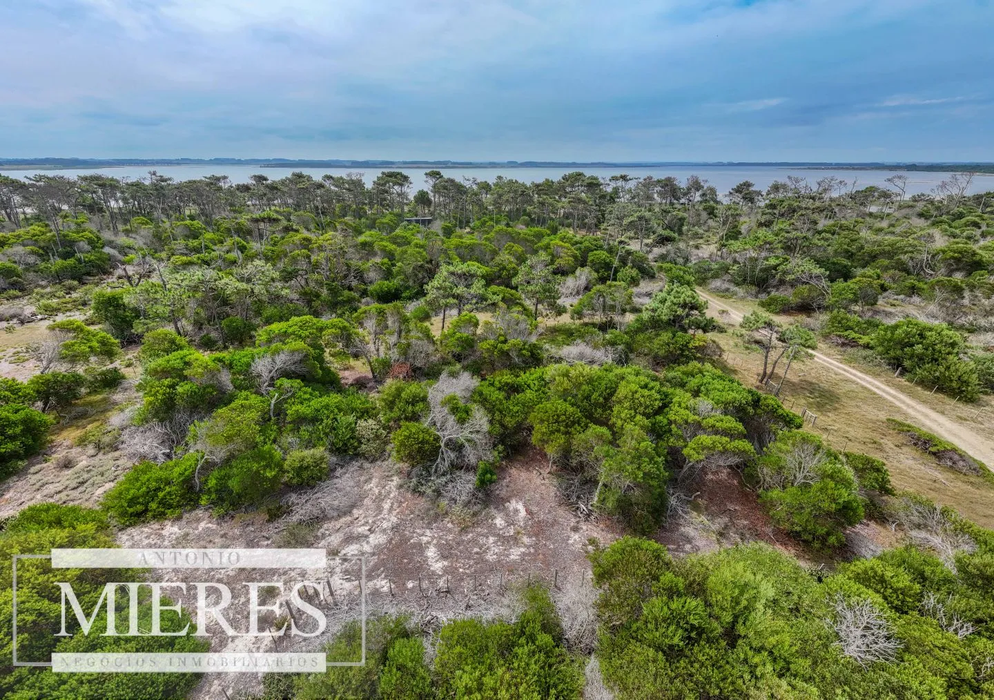 Lote en venta de 2900m2 en El Caracol, a 10' de Jose Ignacio — foto 10