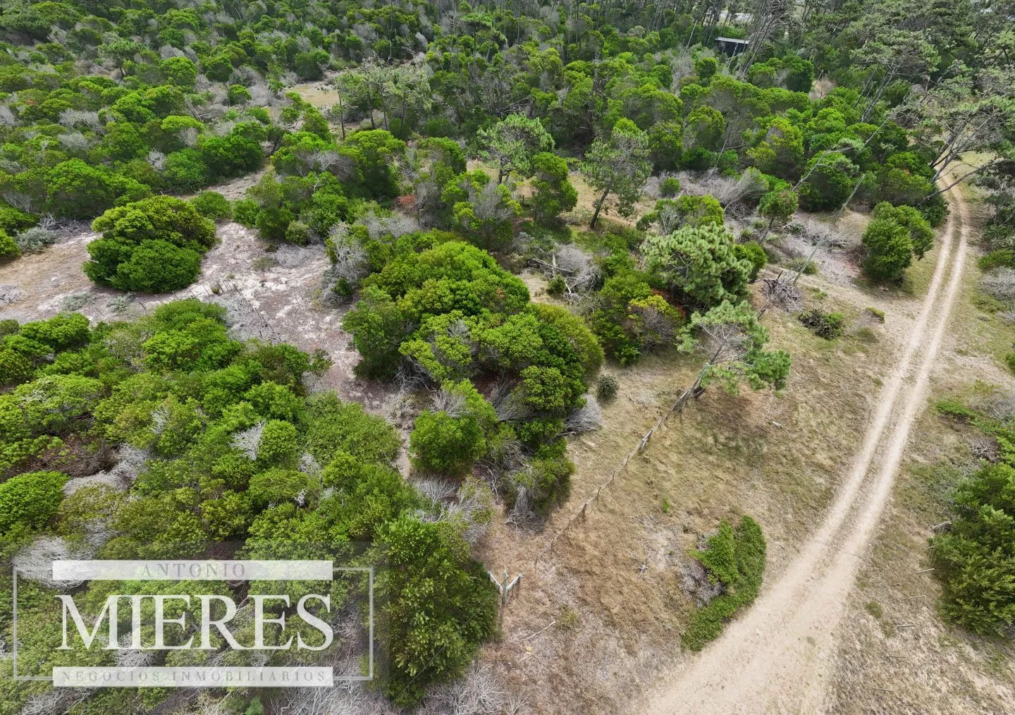 Lote en venta de 2900m2 en El Caracol, a 10' de Jose Ignacio — foto 11