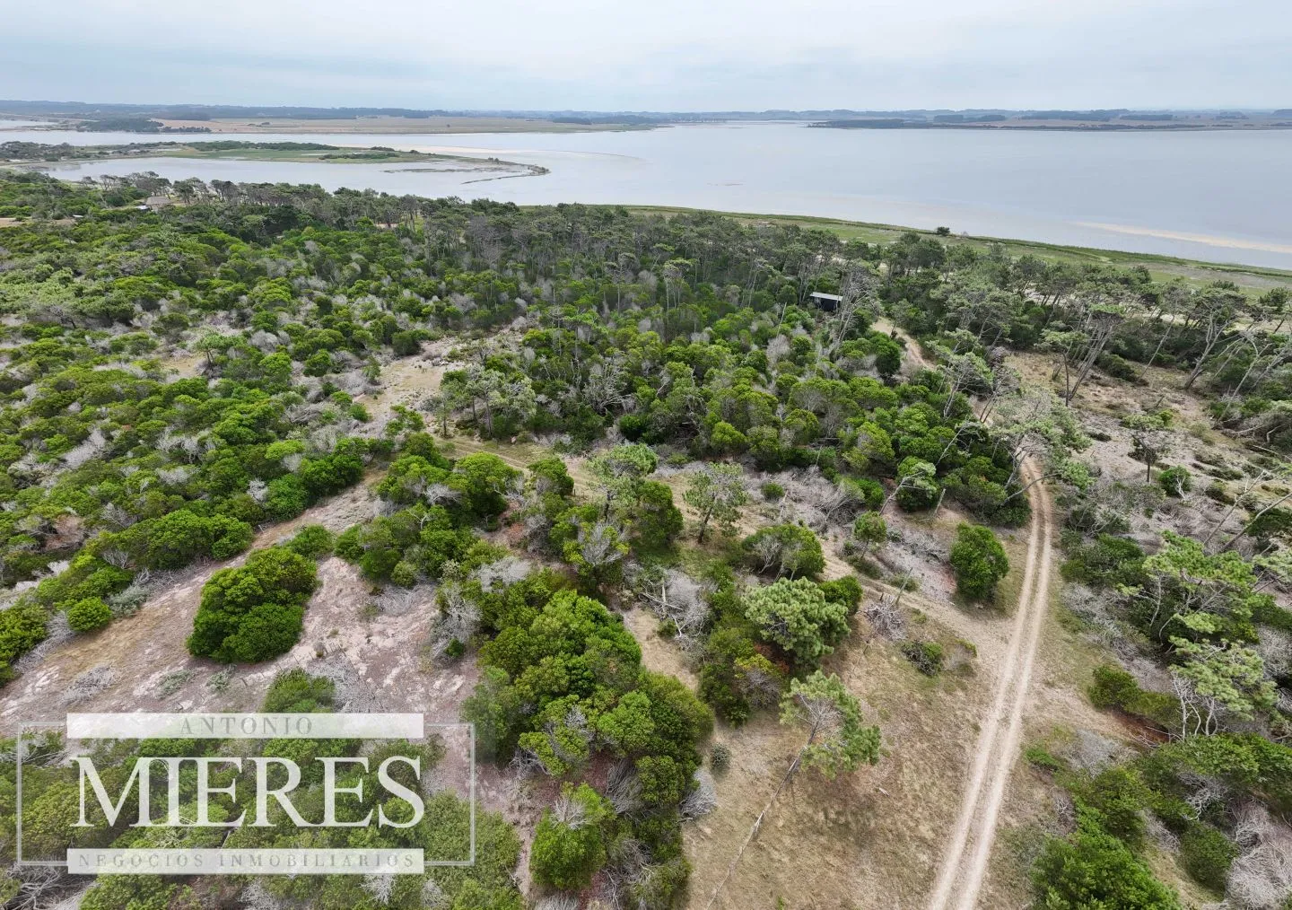Lote en venta de 2900m2 en El Caracol, a 10' de Jose Ignacio — foto 12