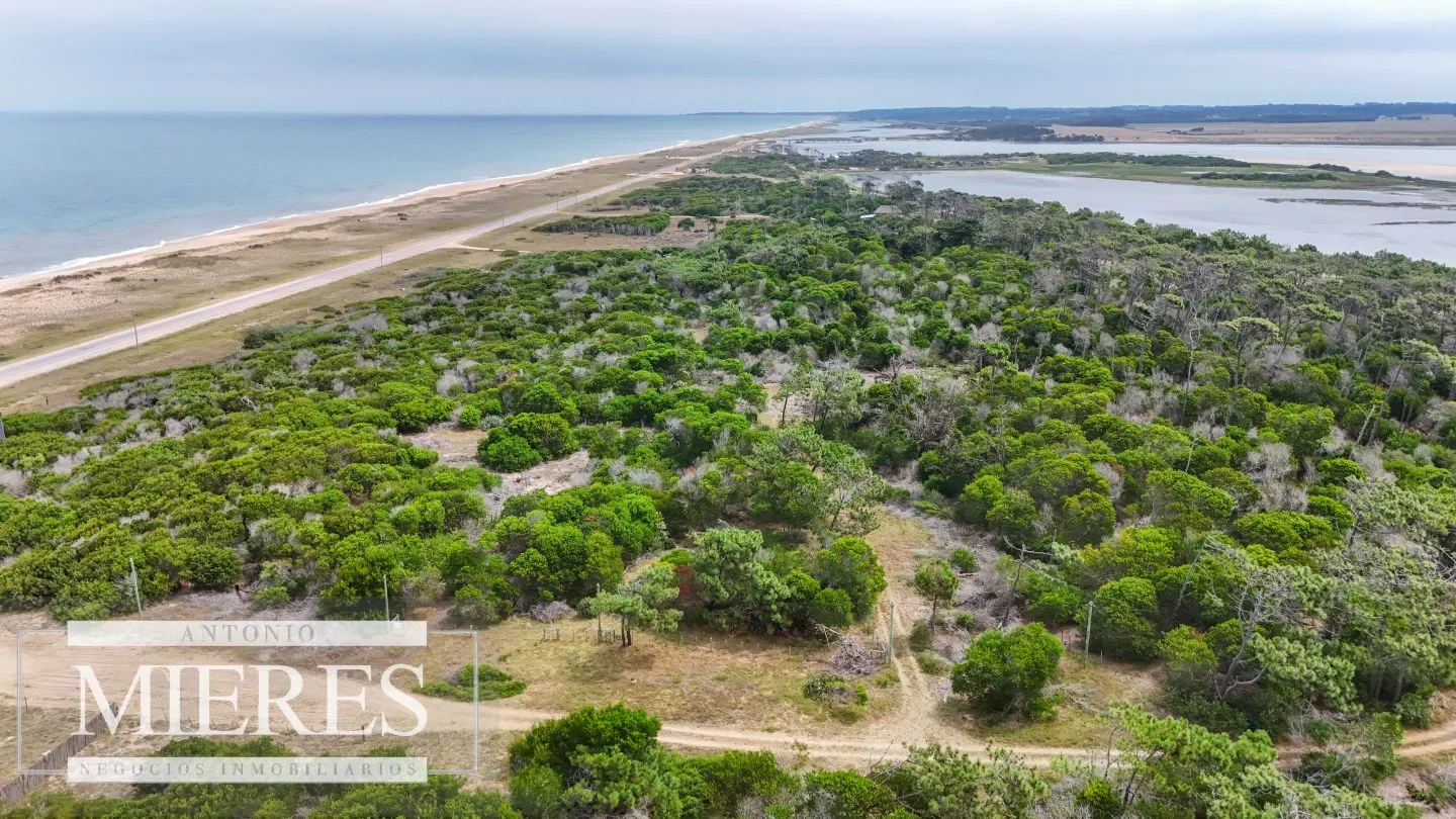 Lote en venta de 2900m2 en El Caracol, a 10' de Jose Ignacio — foto 13