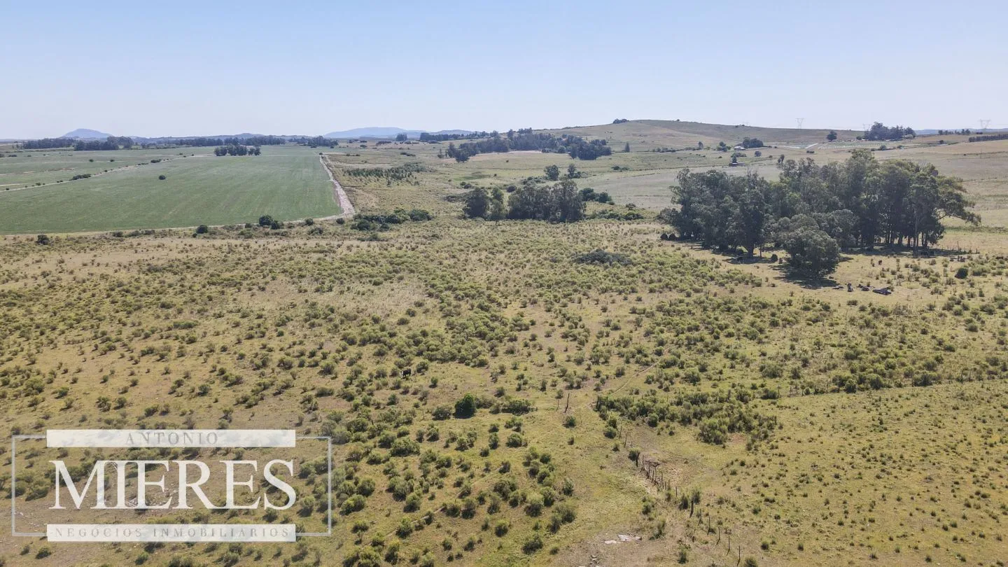 Campo de 23 ha en Ruta 12 Maldonado, Pueblo Edén — foto 10