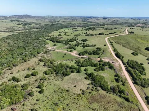 Chacras de 3, 4 y 5 Has en Paso la Cantera Maldonado Uru. — foto 3
