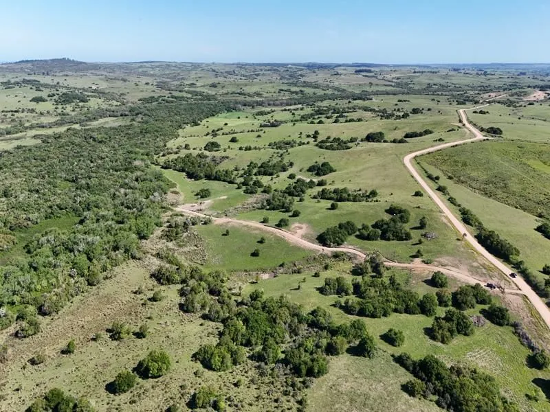 Chacras de 3, 4 y 5 Has en Paso la Cantera Maldonado Uru. — foto 4