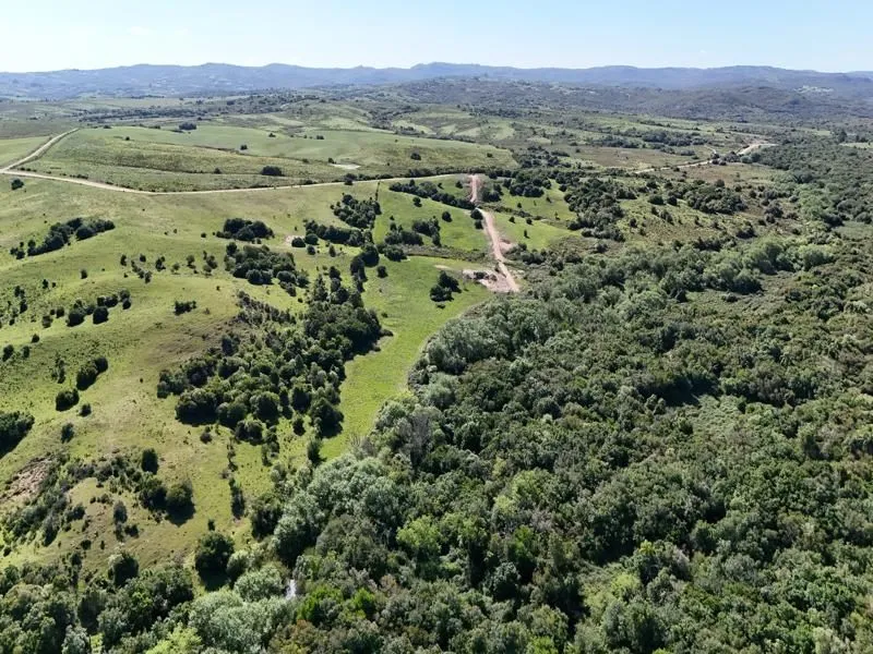 Chacras de 3, 4 y 5 Has en Paso la Cantera Maldonado Uru. — foto 6