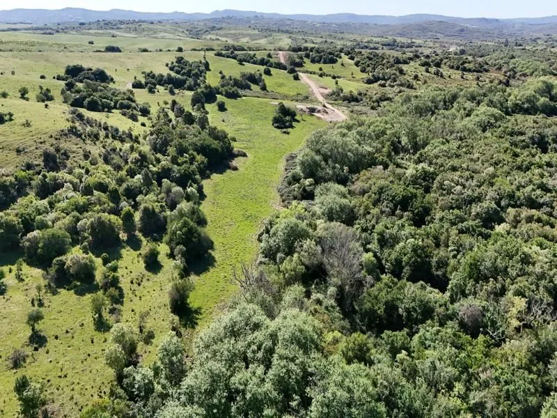 Chacras de 3, 4 y 5 Has en Paso la Cantera Maldonado Uru. — foto 7