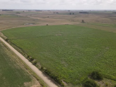 Campo en venta de 150 ha Agrícola Ganadero en Florida