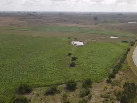 Campo en venta de 150 ha Agrícola Ganadero en Florida — foto 2